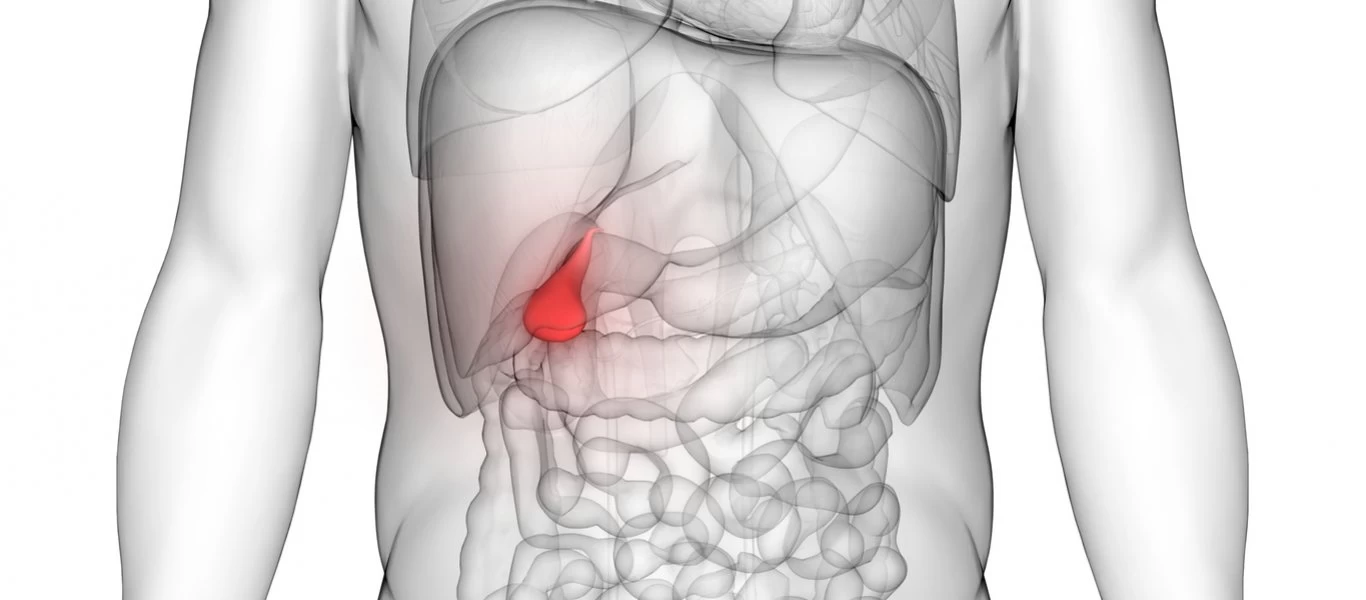 Πέτρες στη χολή: Αυτά είναι τα 4+1 σημάδια που δεν πρέπει να αγνοήσετε